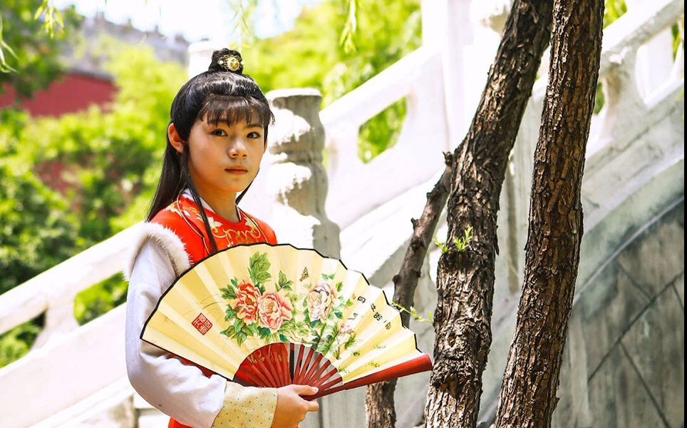 点赞 画中仙:释小松 bgm:金莎《画中仙 素材《小戏骨红楼梦》