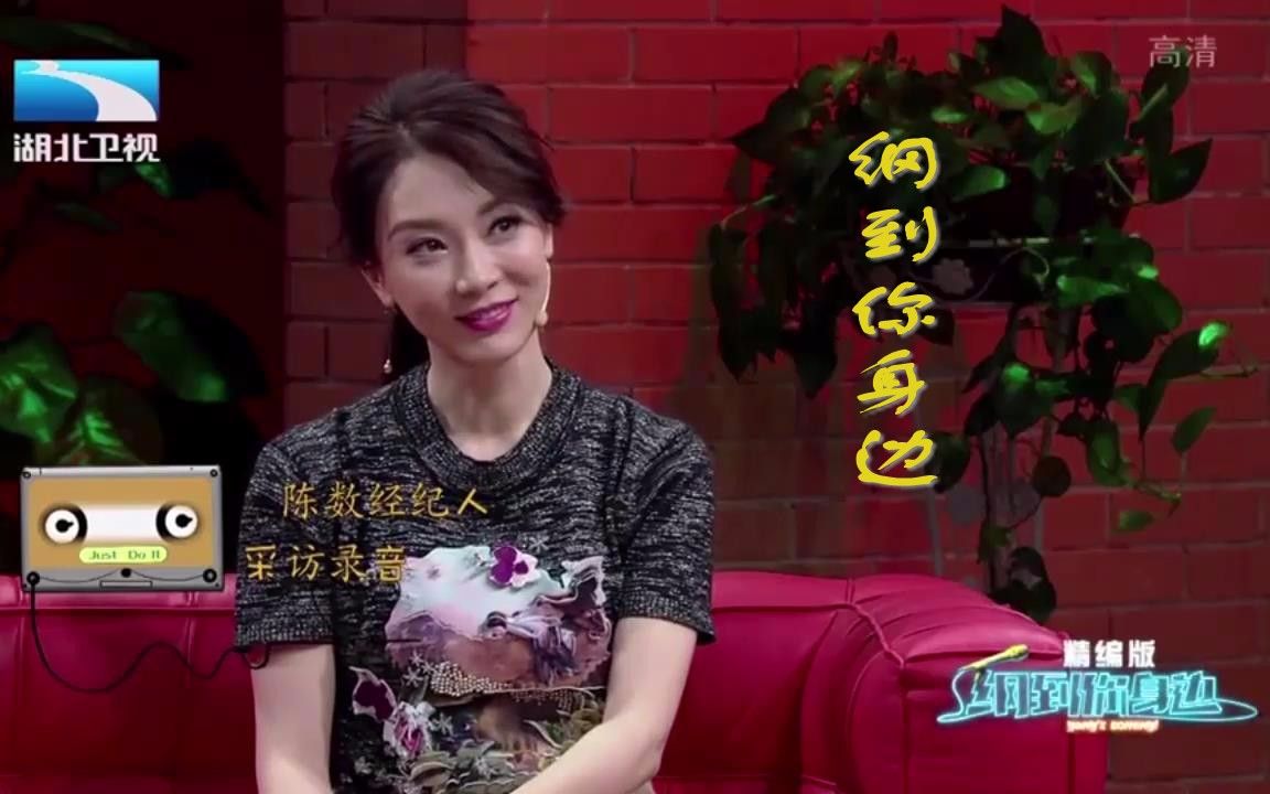 纲到你身边陈数夫妻之间不吵架那是客人你觉得呢