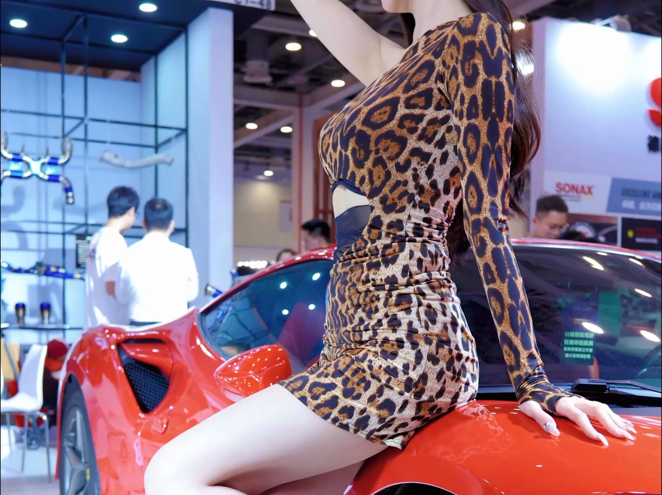 Sexy Leopard Print Dress Outfits for Auto Show Ladies
