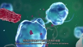 e6d9ca72c78b35ac0c2c316e8cf16e9794f9f4ab.jpg@280w_158h_1c_100q.jpg