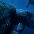 2K120帧修复巨齿鲨杀死梅鲸！史上最强海兽之战！（舔狗小日记）