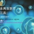 JMT日本干细胞-日本干细胞