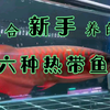 适合新手养的六种热带鱼，您养过几种