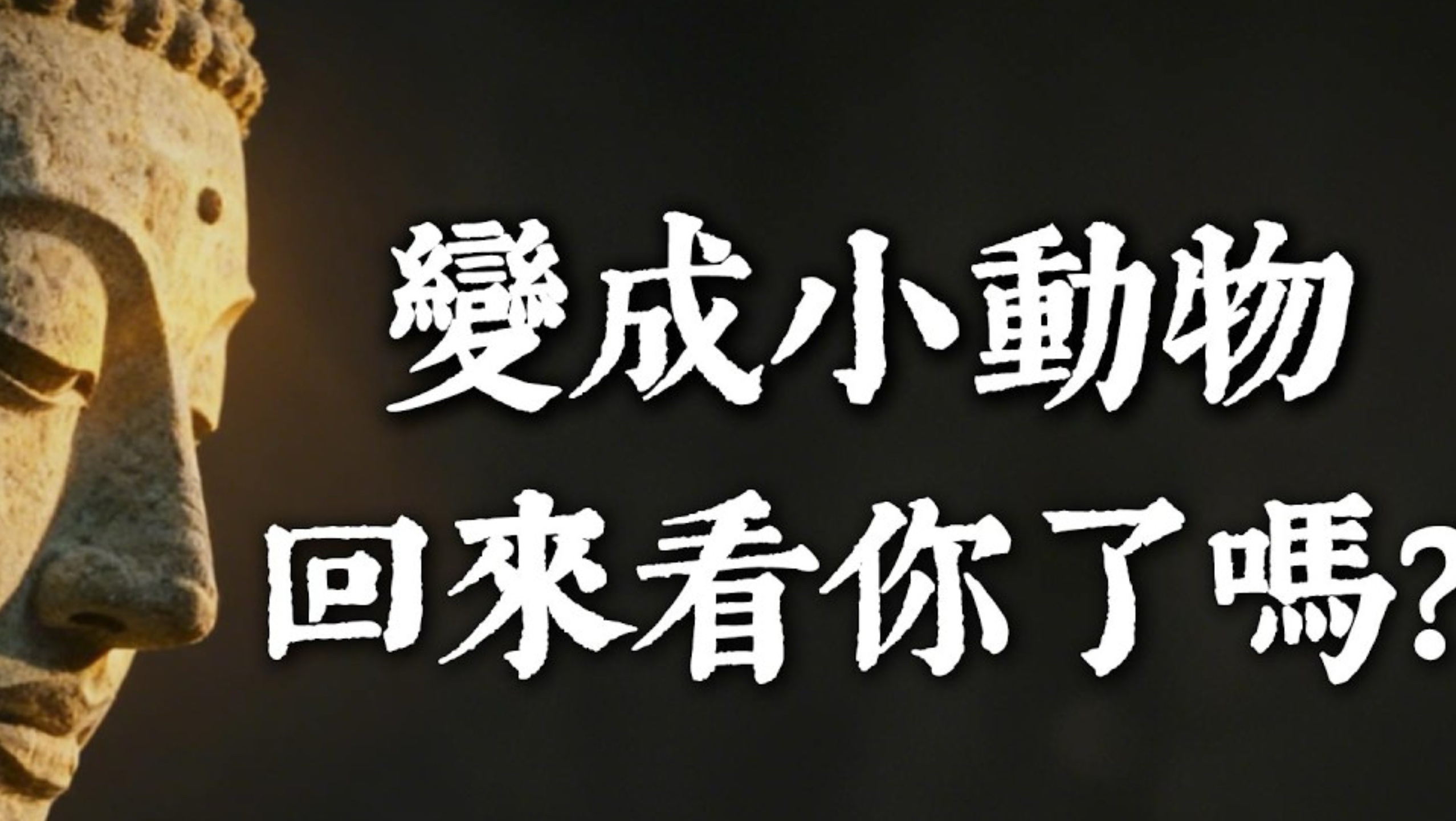 离世的亲人，真的会变成「小动物」回来看你吗？佛法揭开跨越生死的「轮回羁绊」，看完瞬间泪崩！