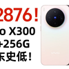 狗东史低！vivo X300手机12+256G国补降至2876！入手方法分享