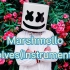 【伴奏】Marshmello-Wolves(Instrumental)(字幕版)