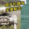 国产机器狗实弹射击画面曝光