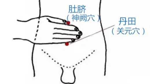 丹田在哪里？