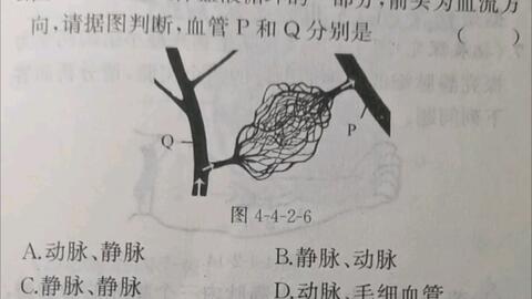 e73237f5695865932e99f31b42c8285315b74641.jpg@480w_270h_1c