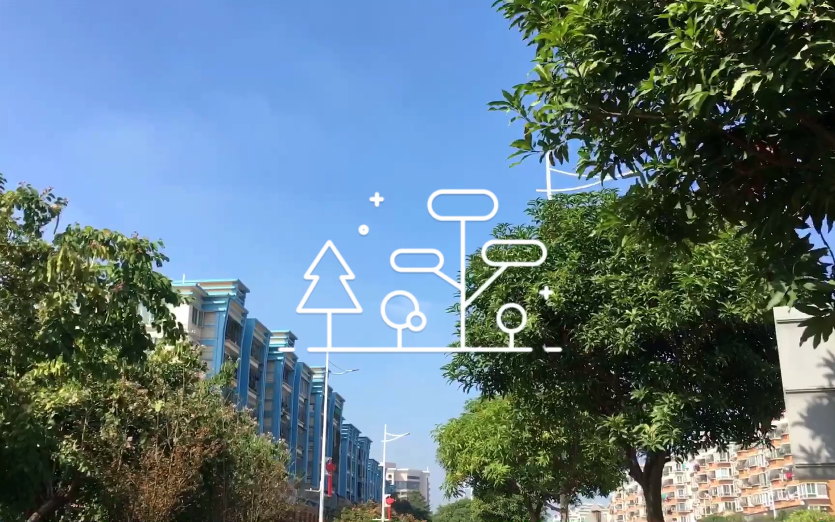 vlog日常