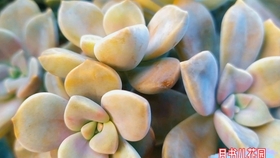 e748bd05f9cfa66cc0d756d7e47c04fda5d25bf9.jpg@280w_158h_1c_100q.jpg