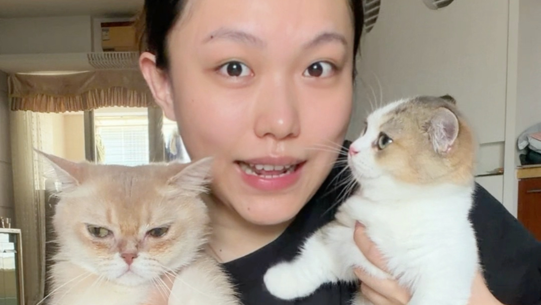 两只小猫体重来啦！