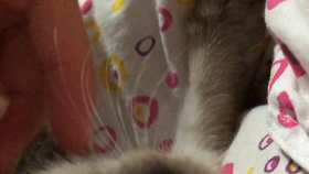 e76408ce1bc4c210deaa1004cf08d504087d9c9f.jpg@280w_158h_1c_100q.jpg