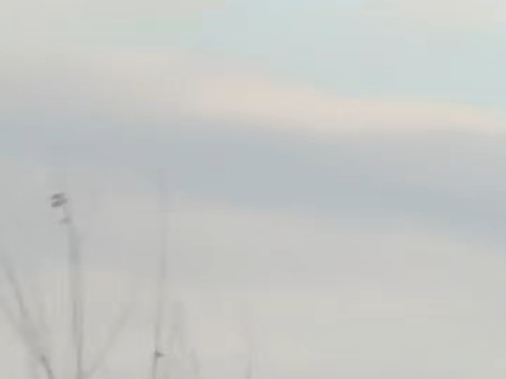 【燃愛】更新啦，赶紧来围观吧！