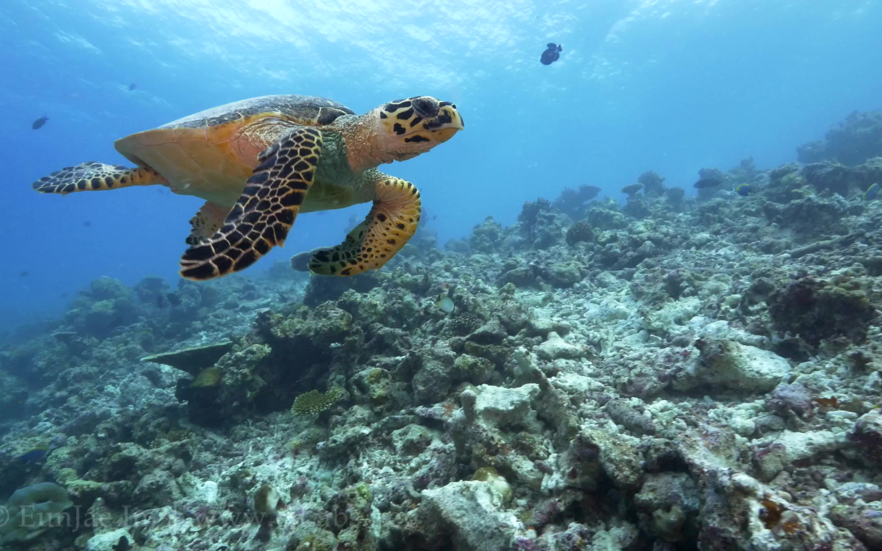 4k视频如何转换1080p_4k视频如何转换1080p_拍视频720p 1080p 4k