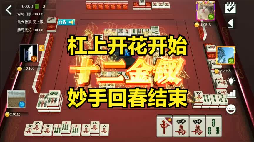 红中血流麻将十二金钗胡9次杠上开花开始妙手回春结束