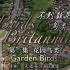 BBC英国鸟类E01.花园鸟Garden.Birds2010