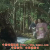 百兽战队:牙吠王双重拳对战推土机奥鲁古,却因为生病的牙吠狮解体