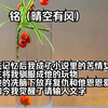 铭（晴空有风）失去记忆后，我成了小说里的苦情女主，男主将我驯服成他的玩物，我会在他的冼脑下放弃复仇和他恩恩爱爱。可如今我觉醒了
