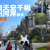 [4K·杜比] 上海苏州河天安千树景观漫游 开业日