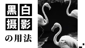 e7bbdab744abe7ce83020755070a9715a00cde37.jpg@280w_158h_1c_100q.jpg