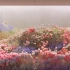【分享】数字艺术影像装置 - BloomingRoom Wall