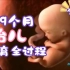 【医学3D】：怀胎十月，1-9个月胎儿在妈妈肚子里形成的全过程