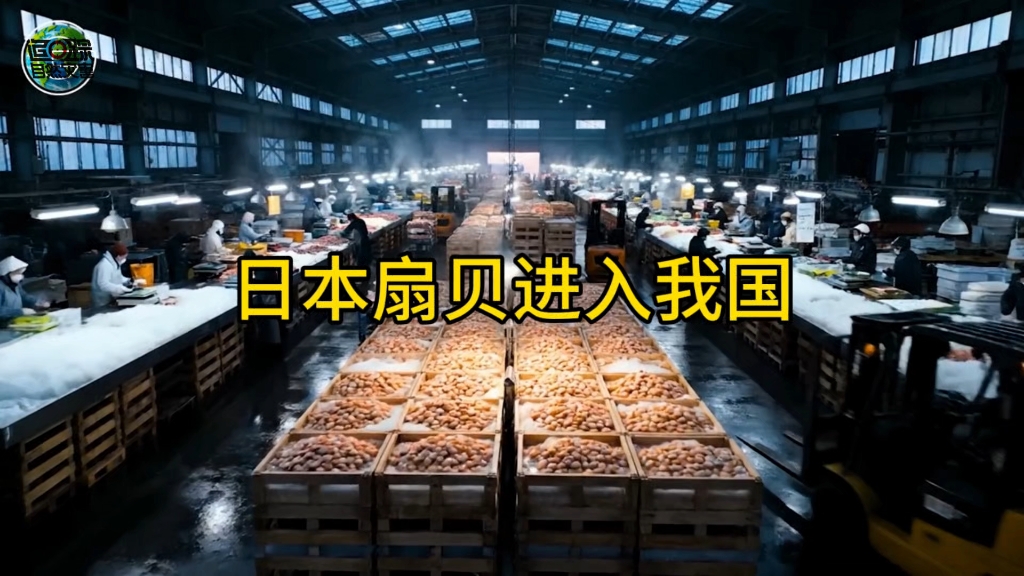 都注意了，日本扇贝进入我国了，来了六吨