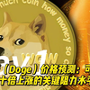 狗狗币（Doge）价格预测：可能激发十倍上涨的关键阻力水平