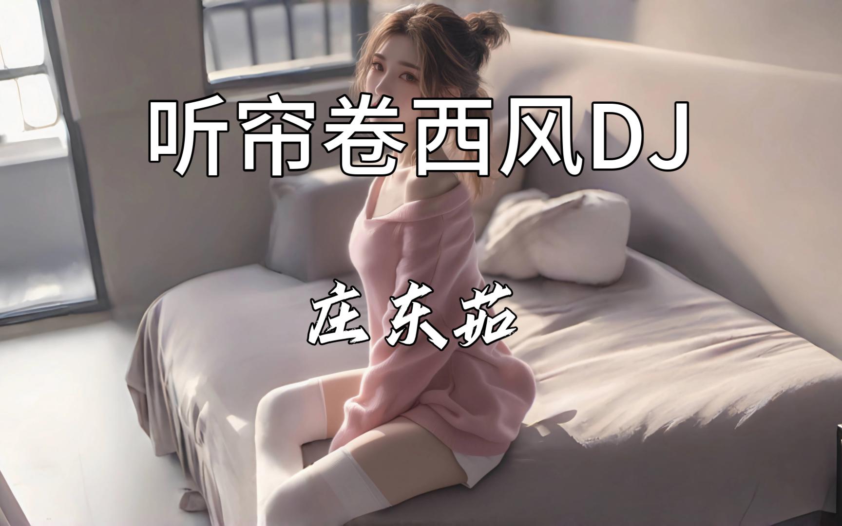 一首小众的DJ神曲《听帘卷西风DJ》- 庄东茹
