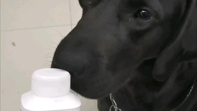 e8364d37f0a9775c460b2e8f24884034e7c66b06.jpg@280w_158h_1c_100q.jpg