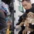 【环华胜勇2】我们接收了胜勇的八只小藏狗，希望有能力的人来领养