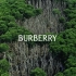 Share丨Burberry 