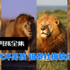 黑岩男孩全集：新生代坏男孩，银泰杜梅拉继承者，未来之星