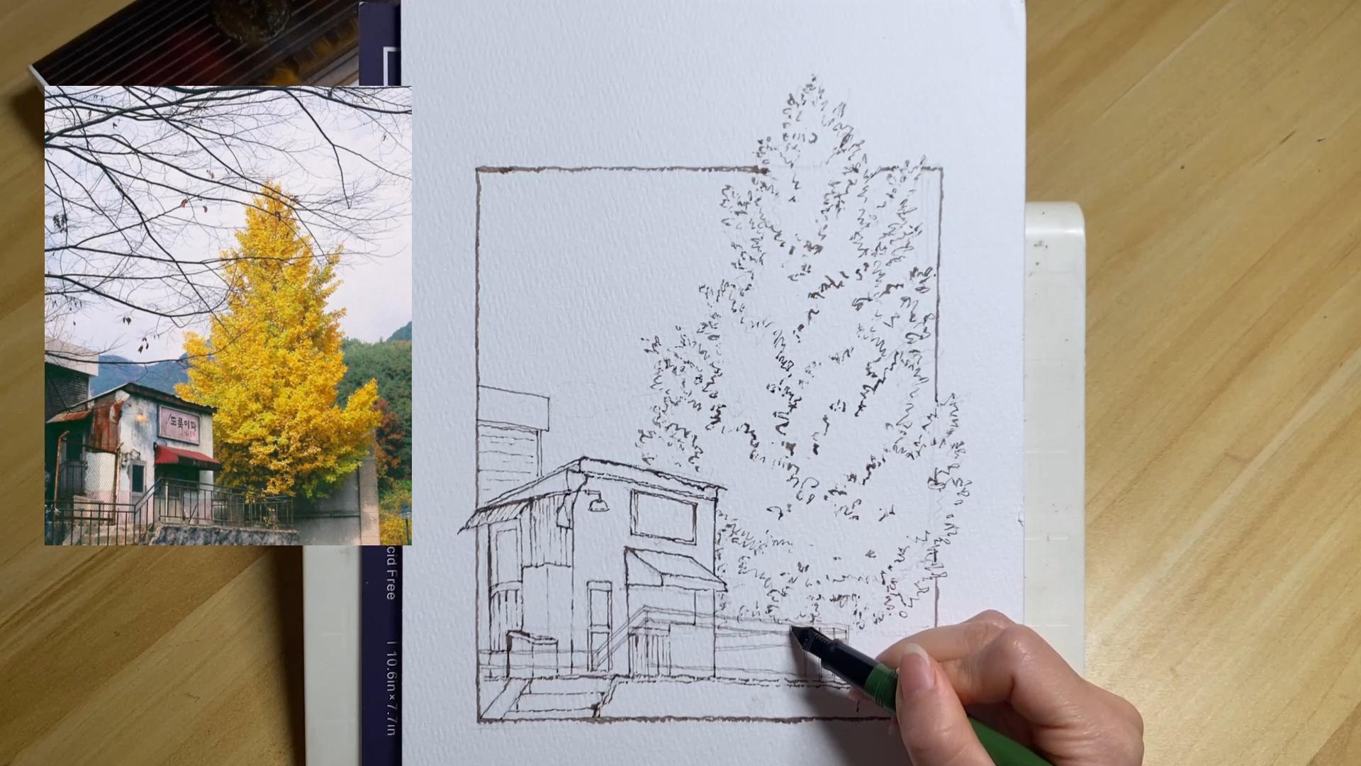 钢笔淡彩画秋天·线稿部分过程视频