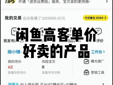 闲鱼高客单价好卖的产品