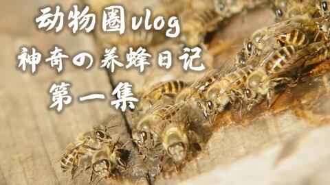 e89457ebc5b6a7d1f607c78d9c1ef10043052a5d.jpg@480w_270h_1c