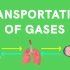 气体的运输Transportation of Gases