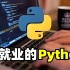 【Python3.10】教科书讲得太复杂，学Python编程只需要结合实战案例！（零基础小白学习入门到精通全栈开发教程）