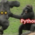 当Python遇到C++