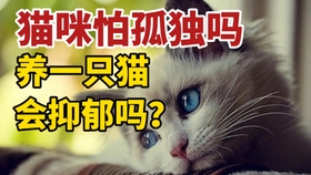 e8eb6506898ce7f8b25005ed2ec9a07fc929185d.jpg@280w_158h_1c_100q.jpg