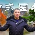 【艾叔】杭州西溪云庐的中式园林，冬日里能品出怎样的景色