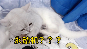 e8f808e257f0b2d49309cfaa22cb22c3f9354ebc.jpg@280w_158h_1c_100q.jpg