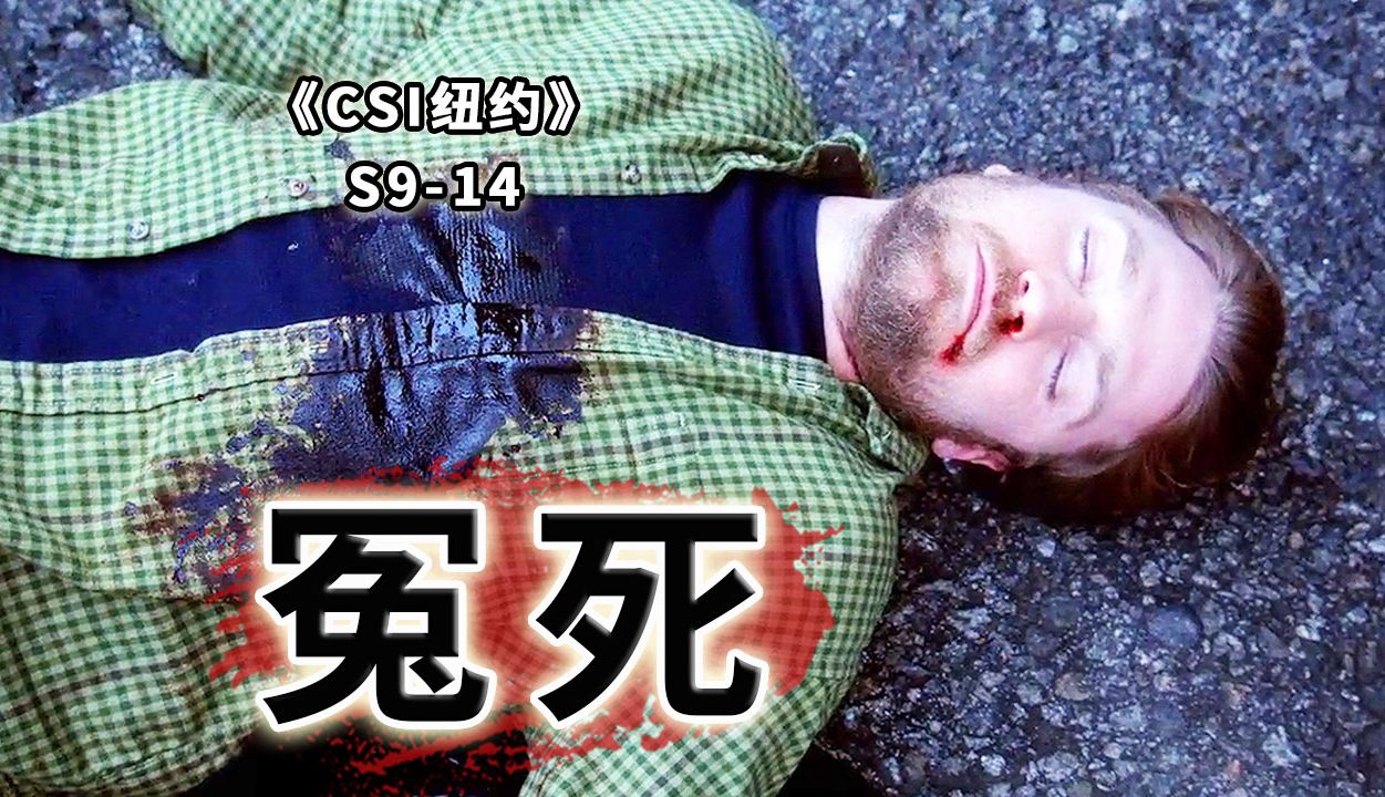 真躺着也中枪，老老实实卖个披萨也能被杀《纽约》S9-14