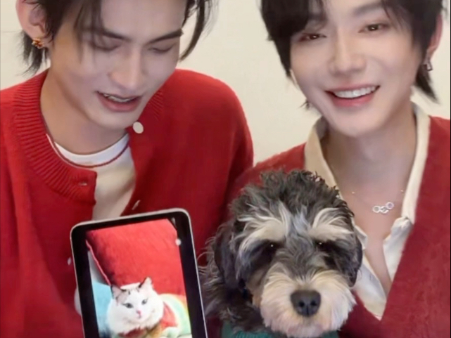 一家四口全家福