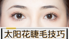 e91c6b693accc08731598ee7a9a507856886a114.jpg@280w_158h_1c_100q.jpg