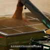 精耕细作的生态农业
