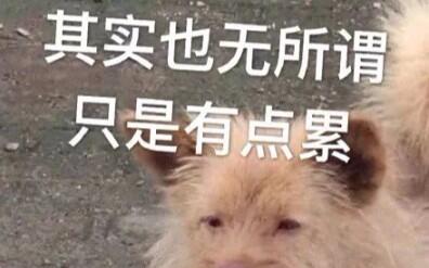 e93588bc9b3ab55ec1dab40ed65026280591d3b7.jpg@480w_270h_1c