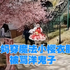 大妈景区穿魔法小樱萝莉衣服，被骂洋鬼子，双方互撕