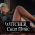 巫师3中的动人旋律，适合学习和睡眠时聆听的动人歌曲~The Witcher 3